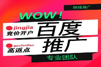 百度竞价推广代运营助力企业多元化营销案例