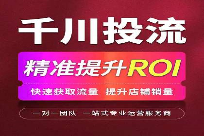 百度网络推广实战：揭秘高效引流秘籍